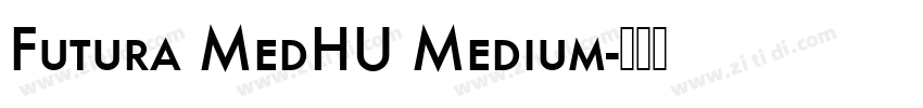 Futura MedHU Medium字体转换